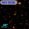 NSV  9556