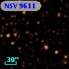 NSV  9611