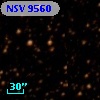 NSV  9560