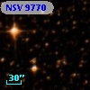 NSV  9770