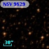 NSV  9829