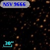 NSV  9666