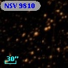 NSV  9810