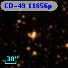 CD-49 11856p