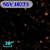 NSV 10273