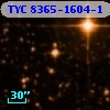 TYC 8365-1604-1