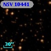 NSV 10441