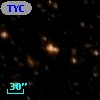 TYC 8366-1288-1