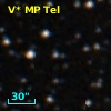 V* MP Tel