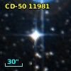 CD-50 11981