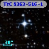 TYC 8363-516-1