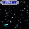 NSV 10955