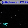 [K80] Herc-1 17749