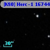 [K80] Herc-1 16744