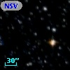 NSV 11291