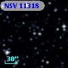 NSV 11318