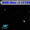 [K80] Herc-1 17199