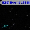 [K80] Herc-1 17818