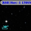[K80] Herc-1 17089