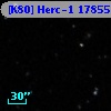 [K80] Herc-1 17855