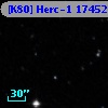 [K80] Herc-1 17452