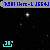 [K80] Herc-1 16641