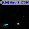 [K80] Herc-1 17256