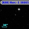 [K80] Herc-1 16665