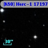 [K80] Herc-1 17197