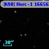 [K80] Herc-1 16656