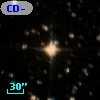CD-49 12490