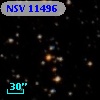 NSV 11496