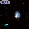 IRAS F19272-4750