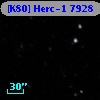 [K80] Herc-1  7928