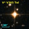 V* V365 Tel