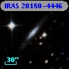 IRAS 20180-4446