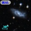 IRAS F20101-4458