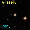 V* SS Mic