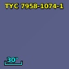 TYC 7958-1074-1