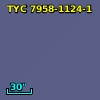 TYC 7958-1124-1