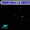 [K80] Herc-1 10973