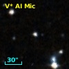 V* AI Mic