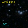 ACO  3731