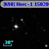[K80] Herc-1 15020