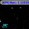 [K80] Herc-1 11919