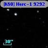 [K80] Herc-1  9292