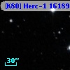 [K80] Herc-1 16189