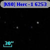 [K80] Herc-1  6253