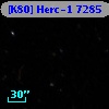 [K80] Herc-1  7285