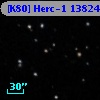 [K80] Herc-1 13824